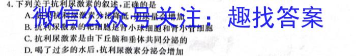 江西省2023-2024学年度八年级下学期第一阶段练习英语