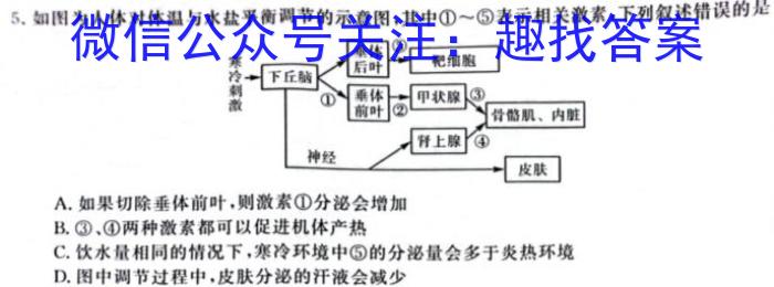 2024年哈三中高三年级下学期第一次模拟考试数学