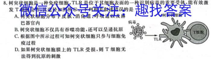 2024年普通高等学校招生全国统一考试 名校联盟·模拟信息卷(T8联盟)(四)4生物学试题答案