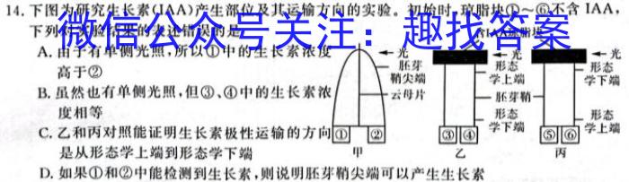 辽宁省高三年级2024年3月考试(24-380C)英语