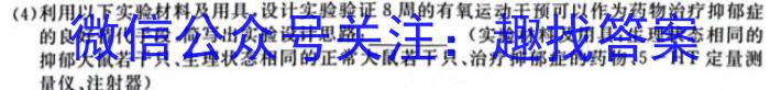 [潍坊二模]山东省潍坊市高考模拟考试(2024.4)数学