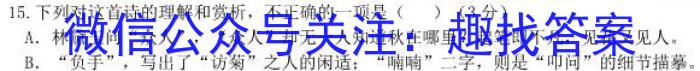 安徽省芜湖市无为市2023-2024学年第二学期九年级第一次月考语文