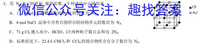 金科大联考·河南省2023-2024学年高一年级第二学期4月联考数学