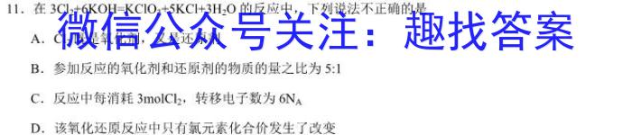 山东省泰安市高二年级考试(2024.07)数学