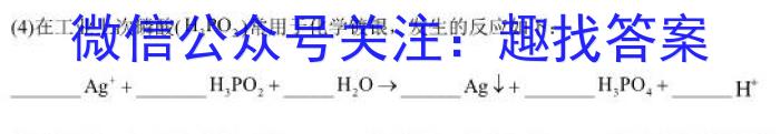 【精品】[泰安二模]2023年泰安市高三二轮检测(2024.04)化学