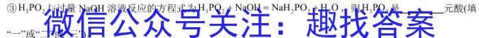 安徽省六安二中河西校区2023级高一年级第二学期期末考试数学