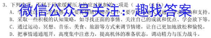 河南省2023~2024学年度七年级上学期阶段评估(二)[3L-HEN]/语文