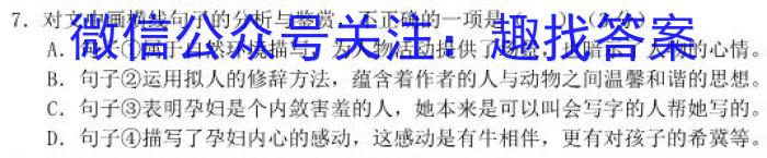 安徽省2024届九年级上学期1月期末考试（无标题）/语文