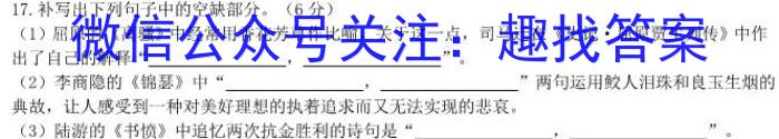 河南省周口市淮阳区2023-2024学年第二学期八年级期末学情调研试卷语文