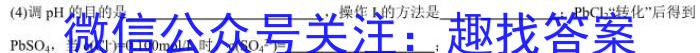 【精品】甘肃省2023-2024学年高二第二学期期中联考试卷化学