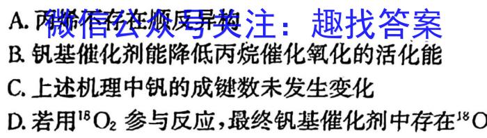 2024年河南省普通高中招生考试试卷 学霸卷数学