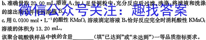 q安徽省合肥市肥东县2024届九年级期末试卷化学