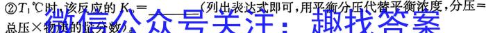 2023-2024学年安徽省七年级第二学期第八次月考化学