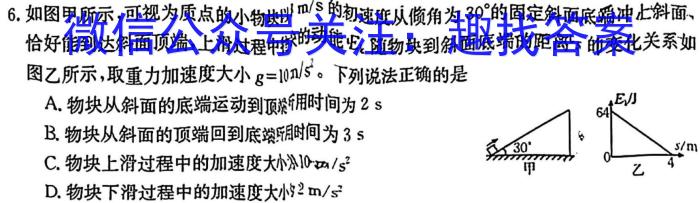 2024年湖南省普通高中学业水平合格性考试仿真试卷(专家版四)物理