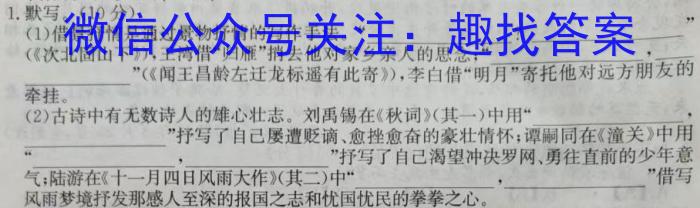 龙西北名校联盟2024届上学期高三学年期末联合考试语文