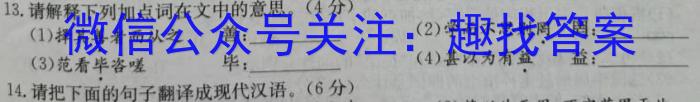 安徽省2023~2024学年度第二学期高一年级期末联考(241941D)语文