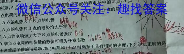 青桐鸣2024年普通高等学校招生全国统一考试 青桐鸣押题卷二物理`