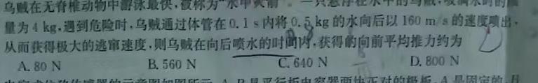 安徽省2024-2025学年九年级上学期教学质量调研一(无标题)(物理)试卷答案