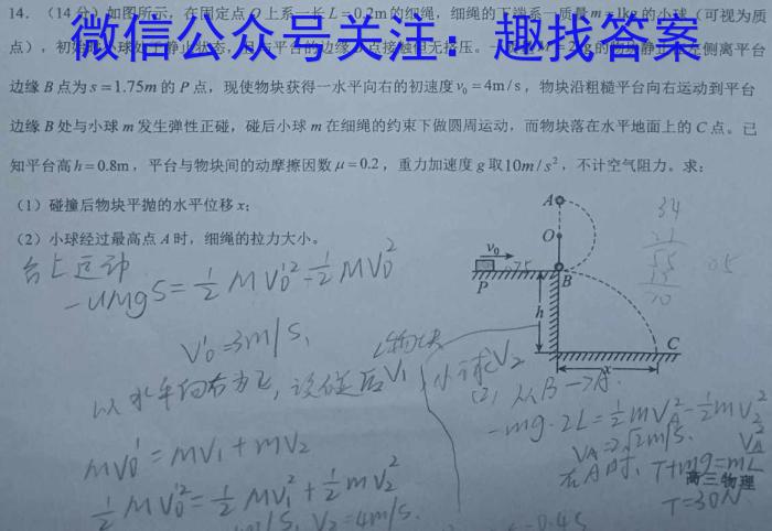 吉林省2025届高二1月联考f物理