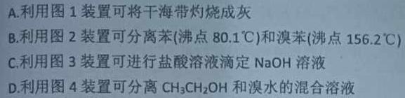 【热荐】河南省洛阳市2023-2024学年高二第一学期期末考试化学