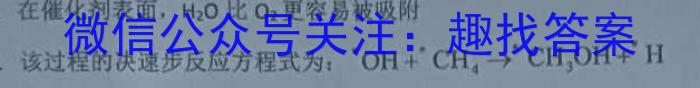 河北省石家庄市第二十八中学2025届九年级开学练习考试化学