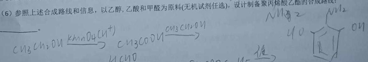 【热荐】陕西省榆林市2023-2024学年高一上学期期末检测化学