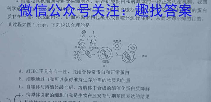 安徽省2024届九年级结课评估[5LR]数学