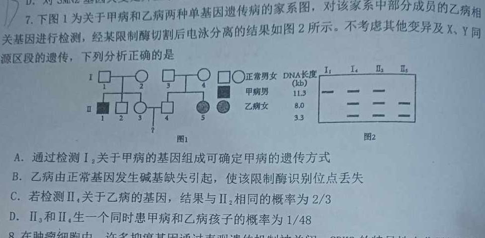 2024年河南省普通高中招生考试预测卷(A)生物学部分
