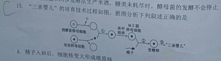 ［惠州三模］惠州市2024届高三模拟考试试题生物学部分