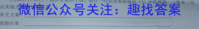 河南省2024年初中学业水平检测第一次模拟考试数学