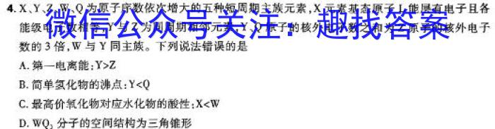 陕西省西安工业大学附属中学2024年九年级第四次适应性训练数学