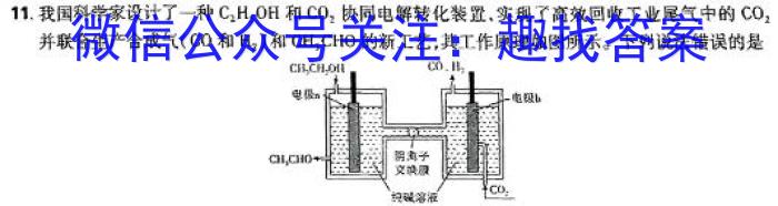 q湖北省荆门市2023-2024学年度高一年级上学期1月期末考试化学