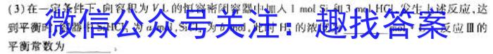 【精品】五育联盟-巅峰计划·2024年河南省第三次模拟考试化学