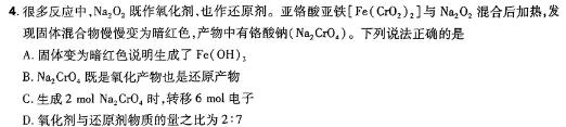 【热荐】2024年陕西省初中学业水平考试（SX2）化学