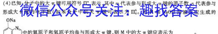 2024届炎德英才大联考 雅礼中学模拟试卷(一)1数学