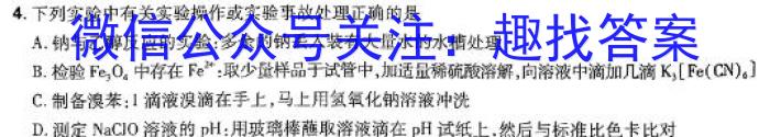 3甘肃省陇南市2023-2024学年度高一年级1月联考化学试题