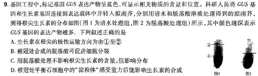 陕西省2023~2024学年七年级上学期阶段性学情分析(三)3生物