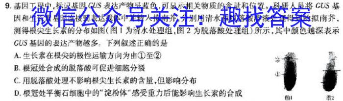 广东省2023-2024学年度九年级综合训练(五)数学