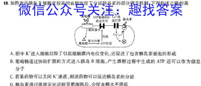 广东省大湾区2023-2024学年第一学期末普通高中二年级联合考试生物学试题答案