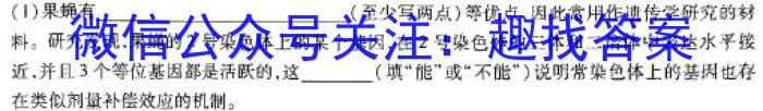 2024届安阳市高三第二次模拟考试数学