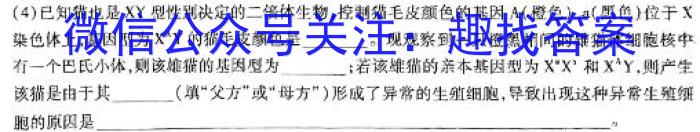 九师联盟2024届高三年级上学期1月期末联考生物学试题答案