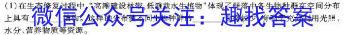 2024年山西省初中学业水平考试聚能卷B数学h