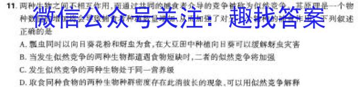 安徽省2023-2024学年度第二学期九年级阶段教学测试2024.3数学