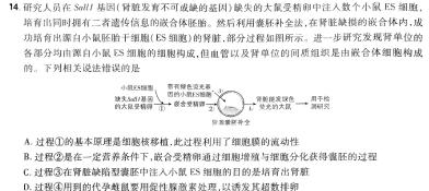 2024年河南省普通高中招生考试 密押卷A生物