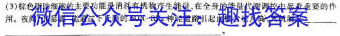 2024届山东省高三年级下学期高考针对性训练数学