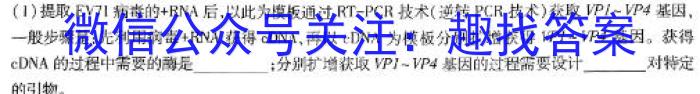 巴蜀中学校2023-2024学年高三下学期4月月考(黑黑白黑黑白白)数学h