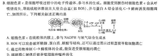 河南省驻马店市2024年九年级第一次中招模拟试卷数学.考卷答案