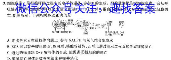 河北省2024届高三年级大数据应用调研联合测评(Ⅴ)数学h
