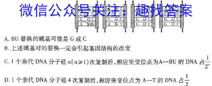 2024届青海省高三4月联考(◎)数学