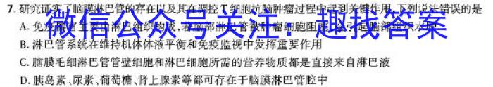 甘肃省天水市麦积区某校2024-2025学年第一学期九年级暑期测试卷生物学试题答案